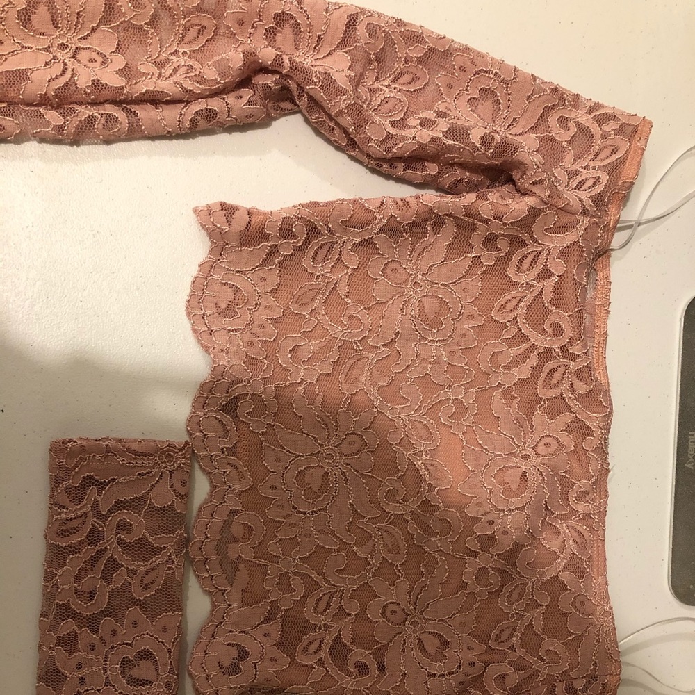 Dainty Hooligan NWT lace long sleeve crop top